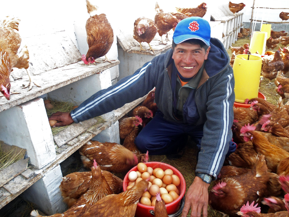 Animals and Agriculture Programs Bolivia