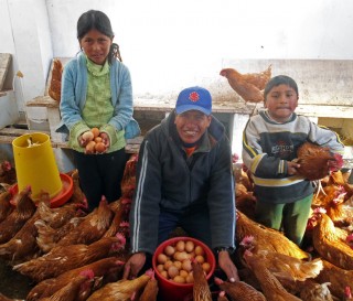 Animal and Agriculture Programs Bolivia