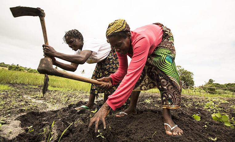 Women farming