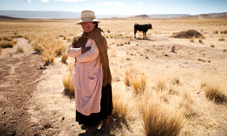 Bolivia Projects Bolivia Projects