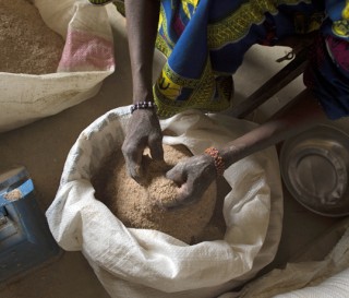 Niger Animal Feed