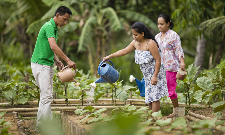 Philippines gardening