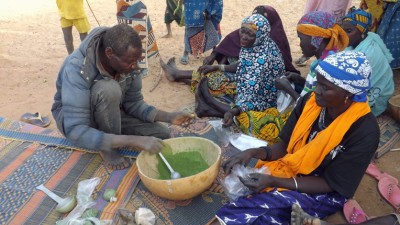 Changing a Community in Niger