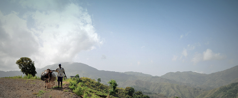 The First Road in Zorange 