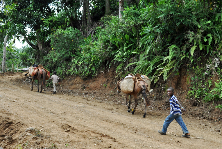 The First Road in Zorange