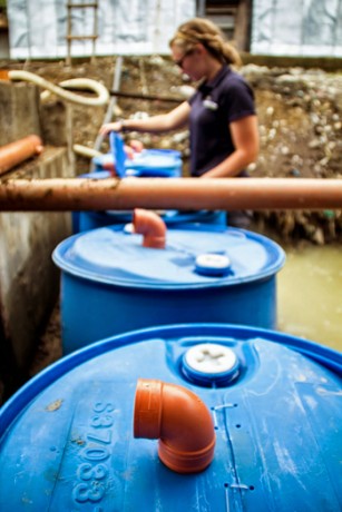 Safe Water and Latrines in the Philippines