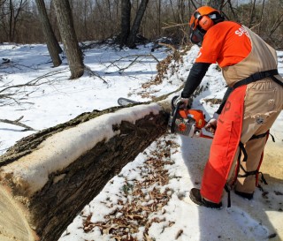 Tennessee ice storm response