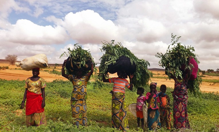 A Glimpse of Niger