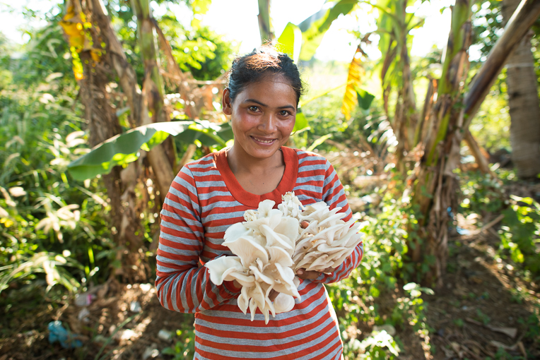 Mushrooms provide income and food for Cambodian villagers.