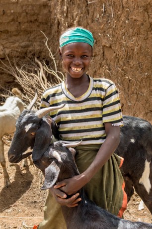 Samaritan's Purse goat project in Niger