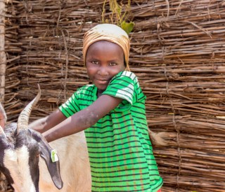 Samaritan's Purse goat project in Niger