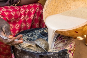 Agriculture projects in Guidan Gado, Niger