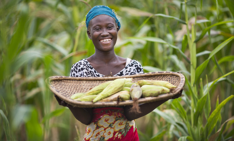 Vegetables and Bees Provide for Ebola Survivors