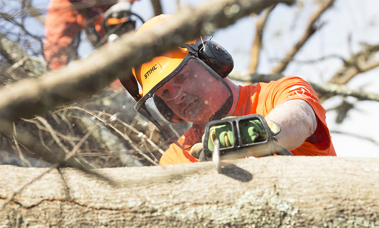 A Samaritan's Purse volunteer cuts a fallen tree in Hattiesburg, Mississippi.