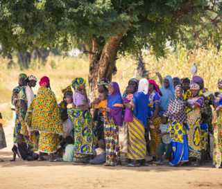 Niger nutrition