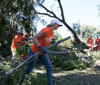 Volunteers clear piles of debris left by multiple trees toppled in a homeowner's yard by the EF3 tornado that hit Marshalltown, Iowa.