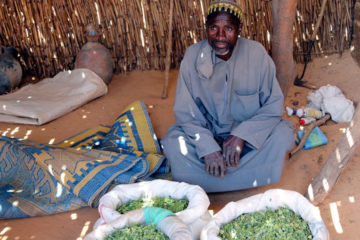 Samaritan's Purse-trained evangelists are helping villages reap a bountiful harvest of crops. They are also seeing fruit as the Gospel takes root in the lives of some.