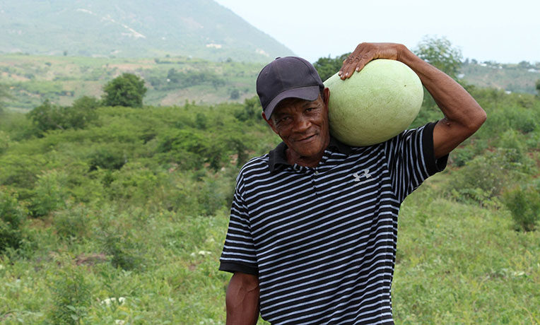 Camille is one of 300 farmers in Haiti who learned about watermelon crop production from Samaritan's Purse.