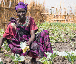 Martha is a lead farmer in South Sudan. Through Samaritan's Purse she learned how to more productively plant vegetables for a greater crop yield.