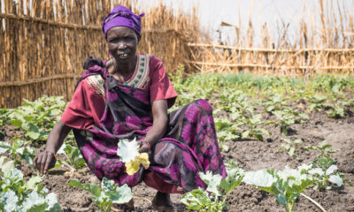 Martha is a lead farmer in South Sudan. Through Samaritan's Purse she learned how to more productively plant vegetables for a greater crop yield.