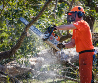 Volunteers are clearing homes and yards of downed trees and other debris in the Florida Panhandle.