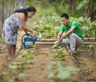 Samaritan's Purse staff teach about home and community gardening.
