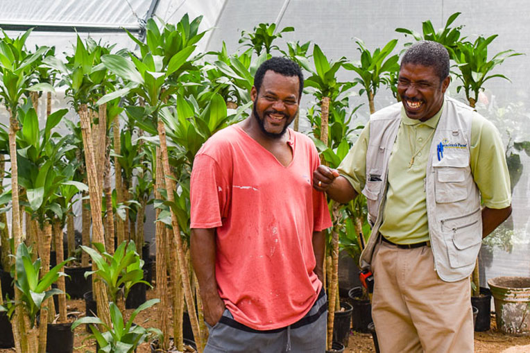 Greenhouses Revive Farmers in Dominica
