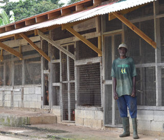 Chicken farmer Edmund Henderson is proud of his chicken coop, newly constructed after Hurricane Maria.