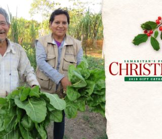 Ana, a Samaritan's Purse agriculture technician in Bolivia, helps Nolberto Sr. to harvest chard from the seeds, supplies, and training he received through our agriculture projects.