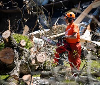 Chainsaw work in Laurel, MS