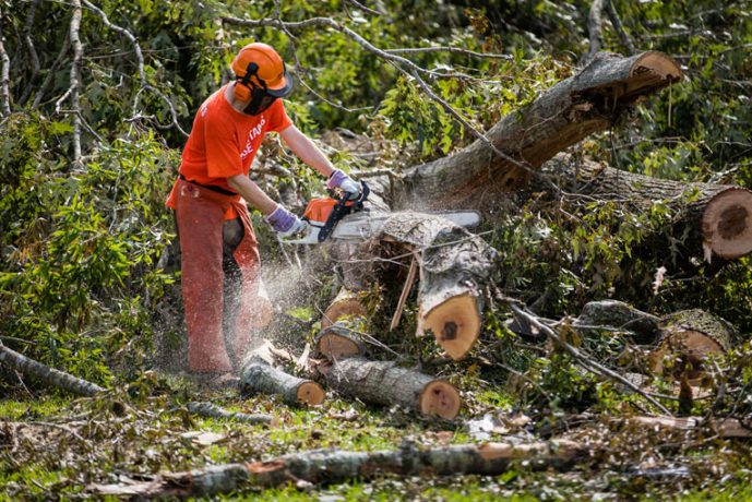 We're working hard to remove debris and downed trees.