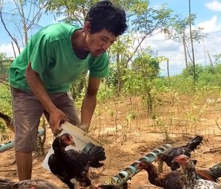 Den's chicken-raising business is providing much needed income for his family.
