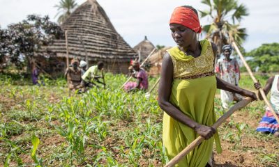 South Sudanese woman farming with rudimentary tools, related to Livelihoods projects, garden to kingdom
