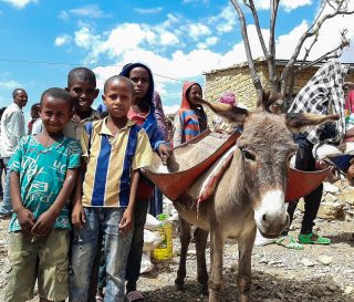 Samaritan's Purse is assisting displaced families who are fleeing violence in the Tigray Region of Ethiopia.