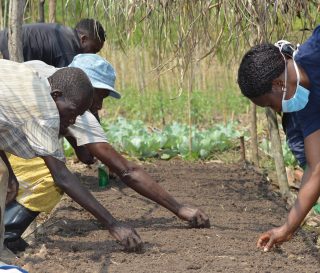 Through agriculture programs, disabled residents in eastern DRC are learning more effective growing techniques. Agriculture programs in democratic republic of congo