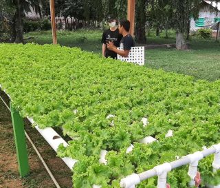 Apprentice Russell Johnson saw how helping to supply PVC pipe for an agriculture project resulted in a hydroponic garden to grow plants without the need for soil.