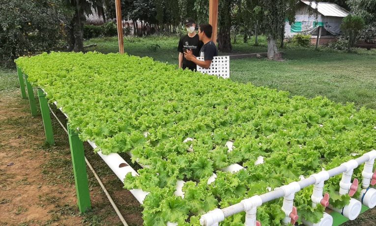 Apprentice Russell Johnson saw how helping to supply PVC pipe for an agriculture project resulted in a hydroponic garden to grow plants without the need for soil.