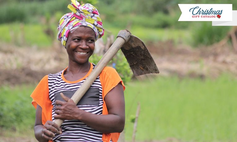 Farmers in Liberia are experiencing thriving lives as they learn new farming techniques and about God's love for them.