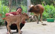 Yen is learning how to raise cows through a Samaritan's Purse livelihood project.