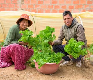 Elvira and her husband Victor are celebrating the harvest from the micro tunnel on their land.