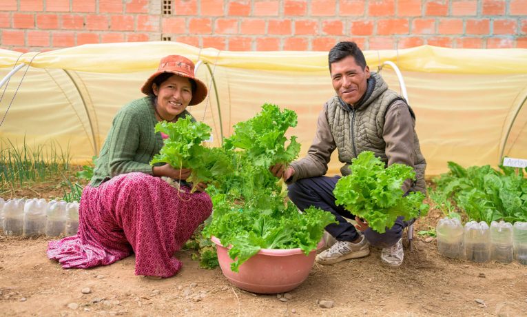 Elvira and her husband Victor are celebrating the harvest from the micro tunnel on their land.