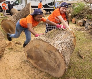 Young volunteers Kara Ivy, left, and Mena Perry team up to get a heavy log rolling from fallen oak.