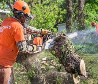 Samaritan's Purse teams are at work in Shawnee, Oklahoma, helping residents with tornado damage. People sawing trees.