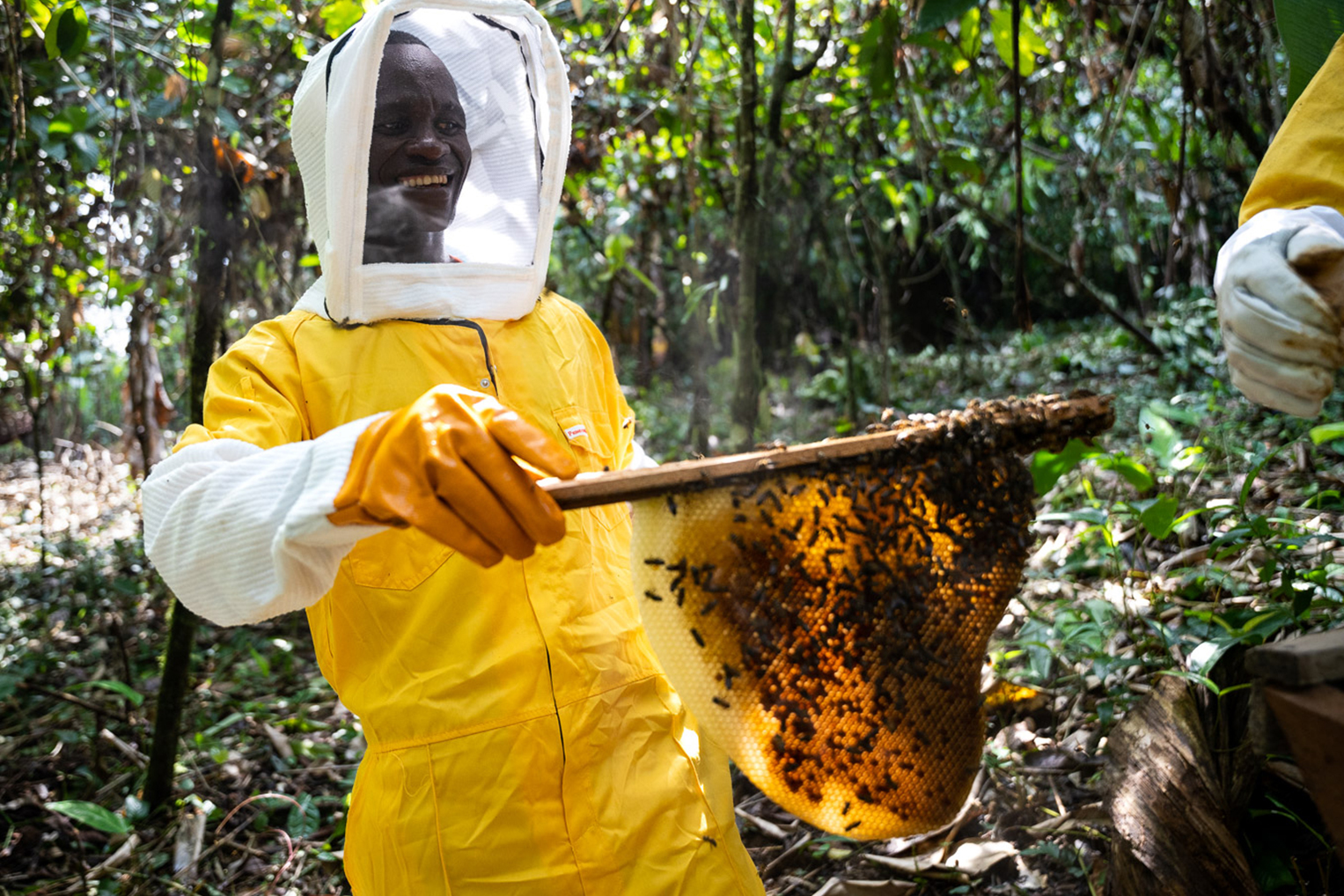 Richard Tweh, un apicultor en el sur de Liberia, muestra las colmenas en su apiario.