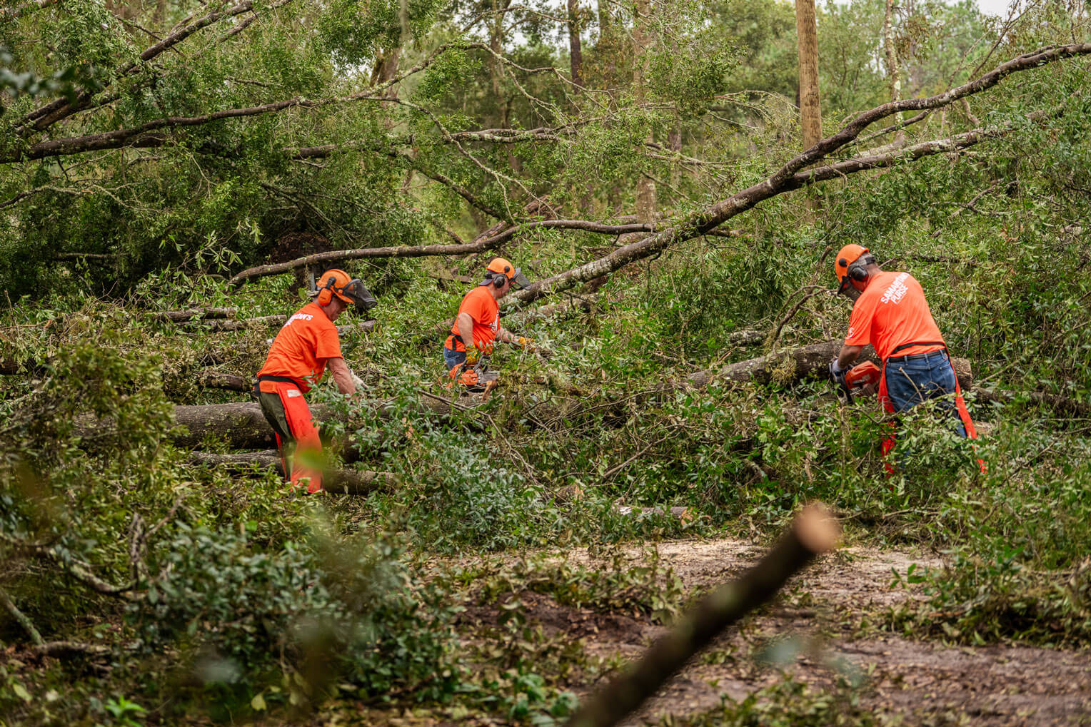 Three Samaritan's Purse volunteers in orange shirts work to cut up and remove a fallen tree in a yard in Florida.
