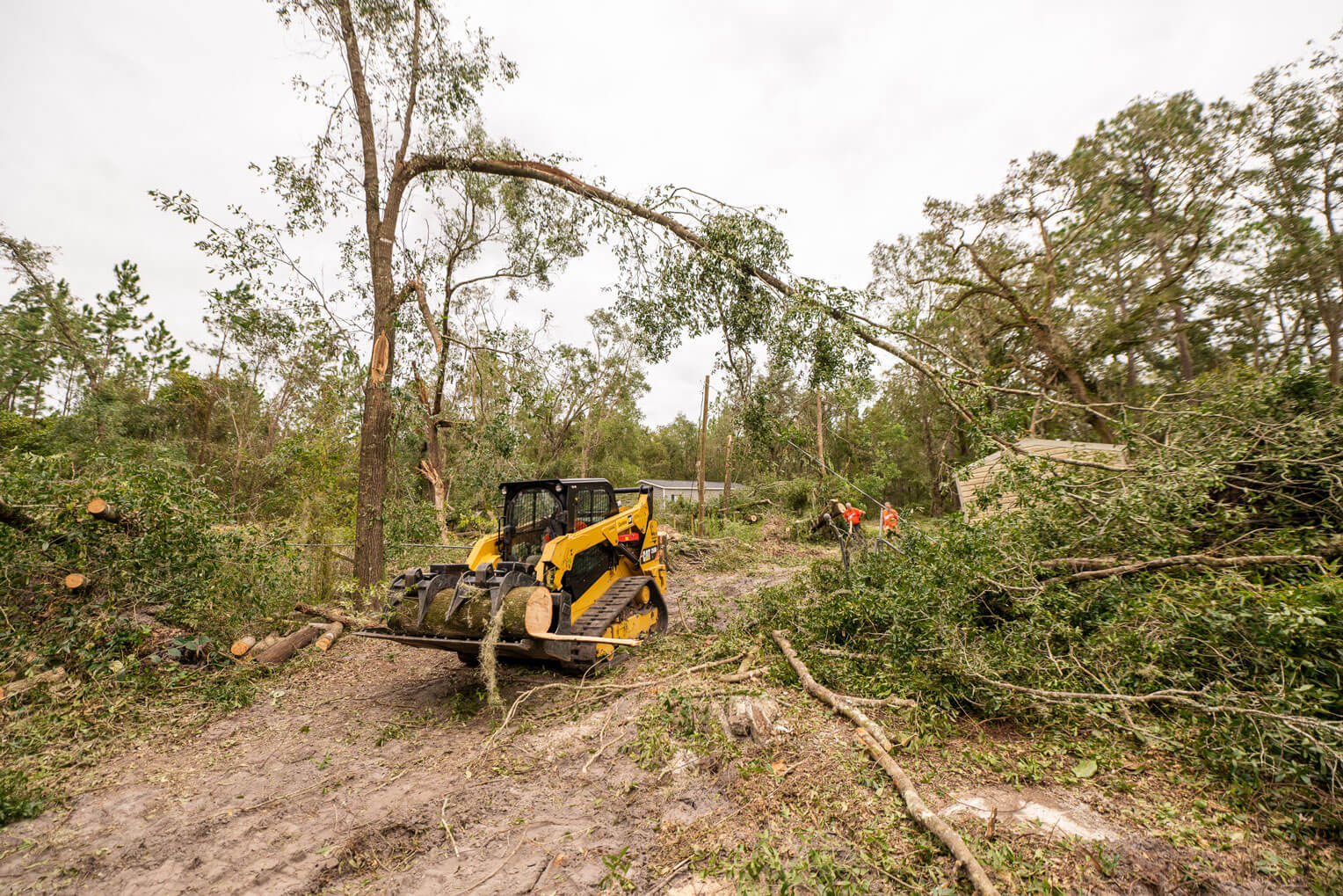 Con una cargadora compacta y otras maquinarias, nuestros equipos pudieron cortar y remover árboles, despejando un camino hacia la casa.
