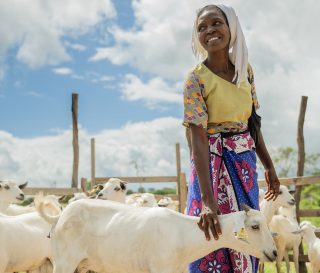 Goats in Kenya, livelihoods, year in photos 2023
