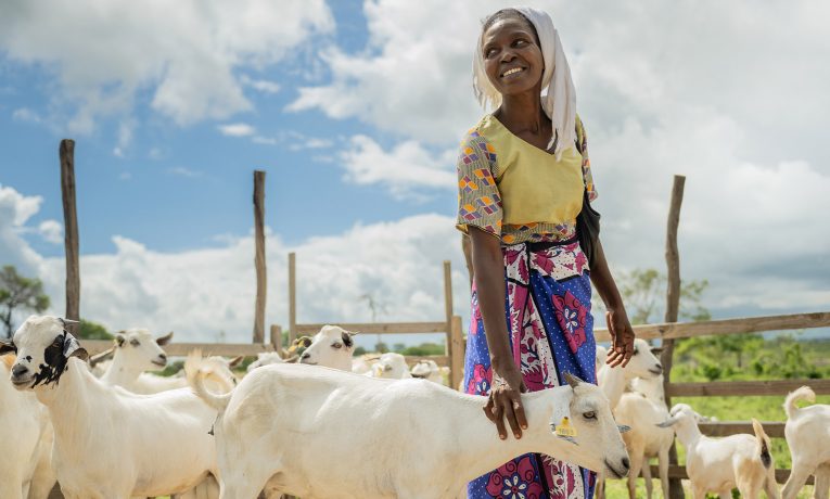 Goats in Kenya, livelihoods, year in photos 2023