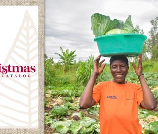Through livelihoods and agriculture projects, Samaritan's Purse is meeting the needs of displaced families in Democratic Republic of the Congo.