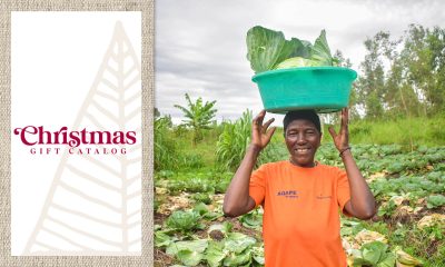 A través de los proyectos de sustento y agricultura, Samaritan’s Purse satisface las necesidades de las familias desplazadas en la República Democrática del Congo.